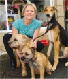 pet supplies